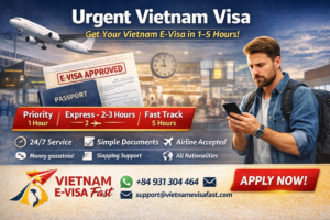 ChatGPT Image 11 47 35 21 thg 12 2025