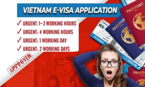 Urgent visa 1